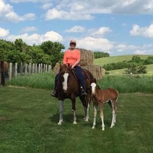 Meet your Posher, Sue